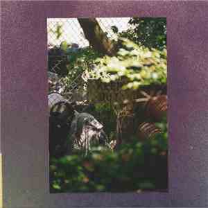 Mesmer  - Kensho