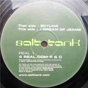 Salt Tank - Skyline / I Dream Of Jeanie
