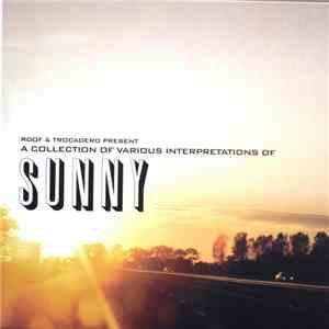 Various - A Collection Of Various Interpretations Of Sunny