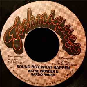 Wayne Wonder & Nardo Ranks - Sound Boy What Happen