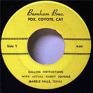 Unknown Artist - Fox, Coyote, Cat