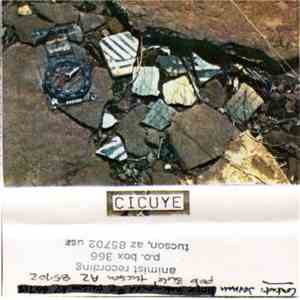 Hands To - Cicuye