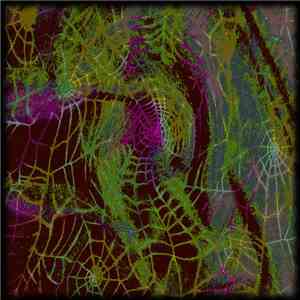 Lungrot - Araneae