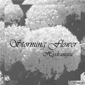 Storming Flower - Hydrangea