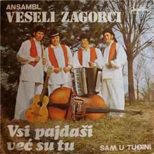 Ansambl Veseli Zagorci - Vsi Pajdaši Već Su Tu