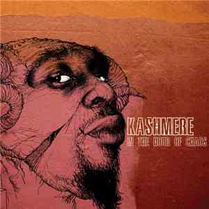 Kashmere - In The Hour Of Chaos