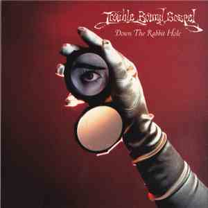 Trouble Bound Gospel - Down The Rabbit Hole