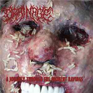 Drainage  - A Journey Through the Ominent Ravings