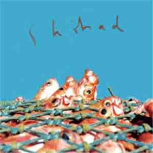 Shihad - Shihad