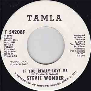 Stevie Wonder - If You Really Love Me