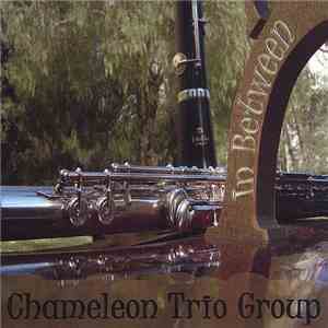 Chameleon Trio Group - In Between