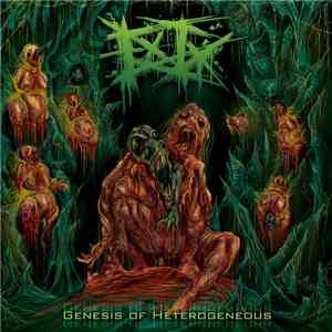 Entrenched Ingurgitation - Genesis Of Heterogeneous