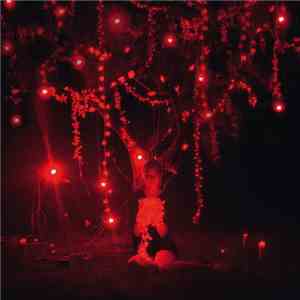 Sophie Hunger - The Danger Of  Light