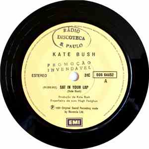 Kate Bush - Sat In Your Lap
