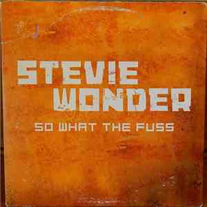 Stevie Wonder - So What The Fuss