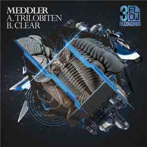 Meddler - Trilobiten / Clear