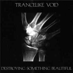 Trancelike Void - Destroying Something Beautiful