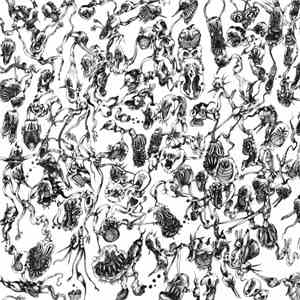 Extinción De Los Insectos - Untitled