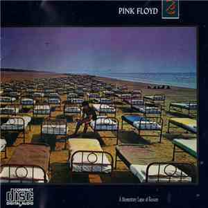 Pink Floyd - A Momentary Lapse Of Reason