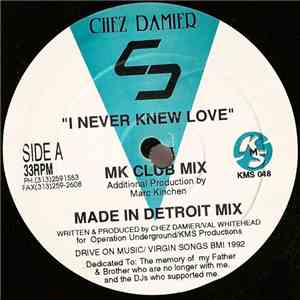 Chez Damier - I Never Knew Love