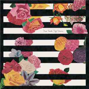 Dear Tracks - Soft Dreams