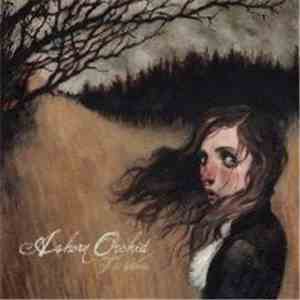 Ashcan Orchid - The Woods