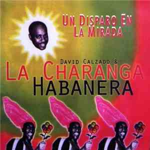 David Calzado & La Charanga Habanera - Un Disparo En La Mirada