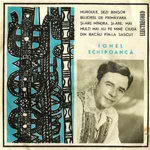 Ionel Schipoancă - Ionel Schipoancă