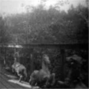 Unbunny - Fission Romance The West