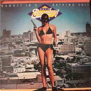 David Bromberg Band - Bandit In A Bathing Suit