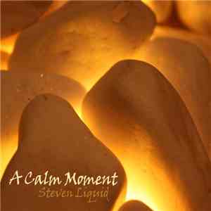 Steven Liquid - A Calm Moment