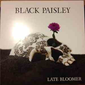 Black Paisley - Late Bloomer