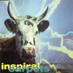 Inspiral Carpets - She Comes In The Fall