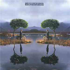 Bruce Dickinson - Skunkworks