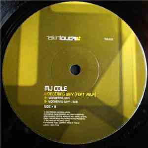 MJ Cole Feat Vula - Wondering Why