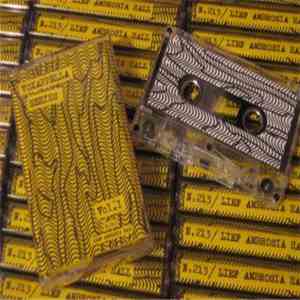 N.213 / Lief Ambrosia Hall - Voxappella Series Vol. 1