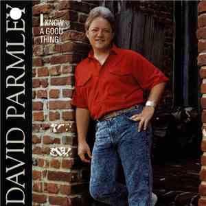 David Parmley - I Know A Good Thing