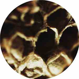 Gabriele Carasco - Out For The Afternoon EP