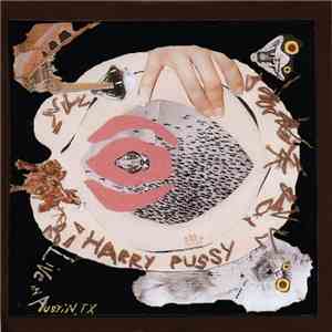 Harry Pussy - Live In Austin, TX