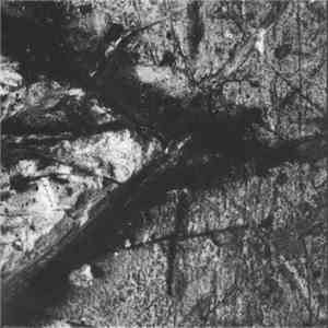 Nurse With Wound - The Iron Soul Of Nothing