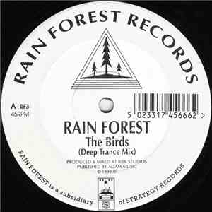 Rain Forest - The Birds