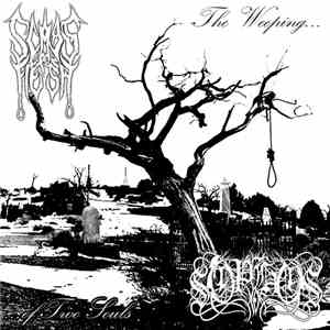 Scars Upon Flesh / σοφος - The Weeping of Two Souls