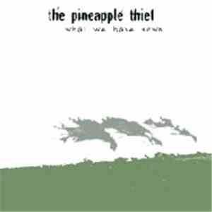 The Pineapple Thief - What We Have Sown