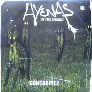 Hyenas In The Desert - Concubinez