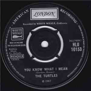 The Turtles - You Know What I Mean
