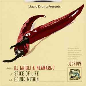DJ Ghibli & nCamargo - Spice Of Life / Found Within