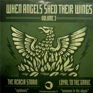 The Acacia Strain / Loyal To The Grave - When Angels Shed Their Wings Volum ...