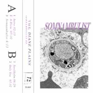 The Diane Plains - Somnambulist EP