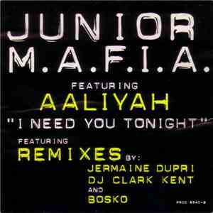 Junior M.A.F.I.A. Featuring Aaliyah - I Need You Tonight (The Remixes)