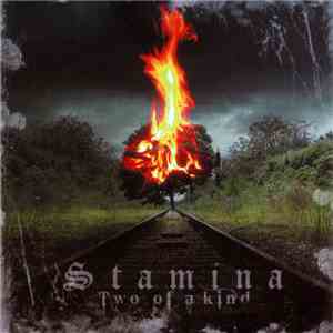Stamina  - Two Of A Kind